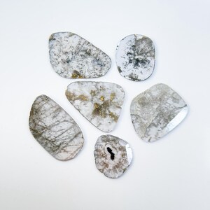May include: Six irregularly shaped, translucent, grey and white stones with black and gold inclusions. The stones are arranged on a white surface.