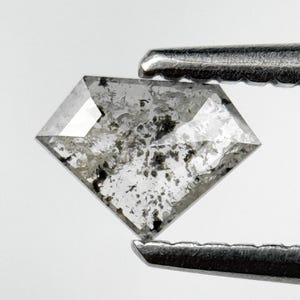 May include: A clear, shield-cut diamond with internal black inclusions, held by a silver tweezer. The gemstone has a faceted surface and a unique, speckled appearance. The diamond is a light gray color.