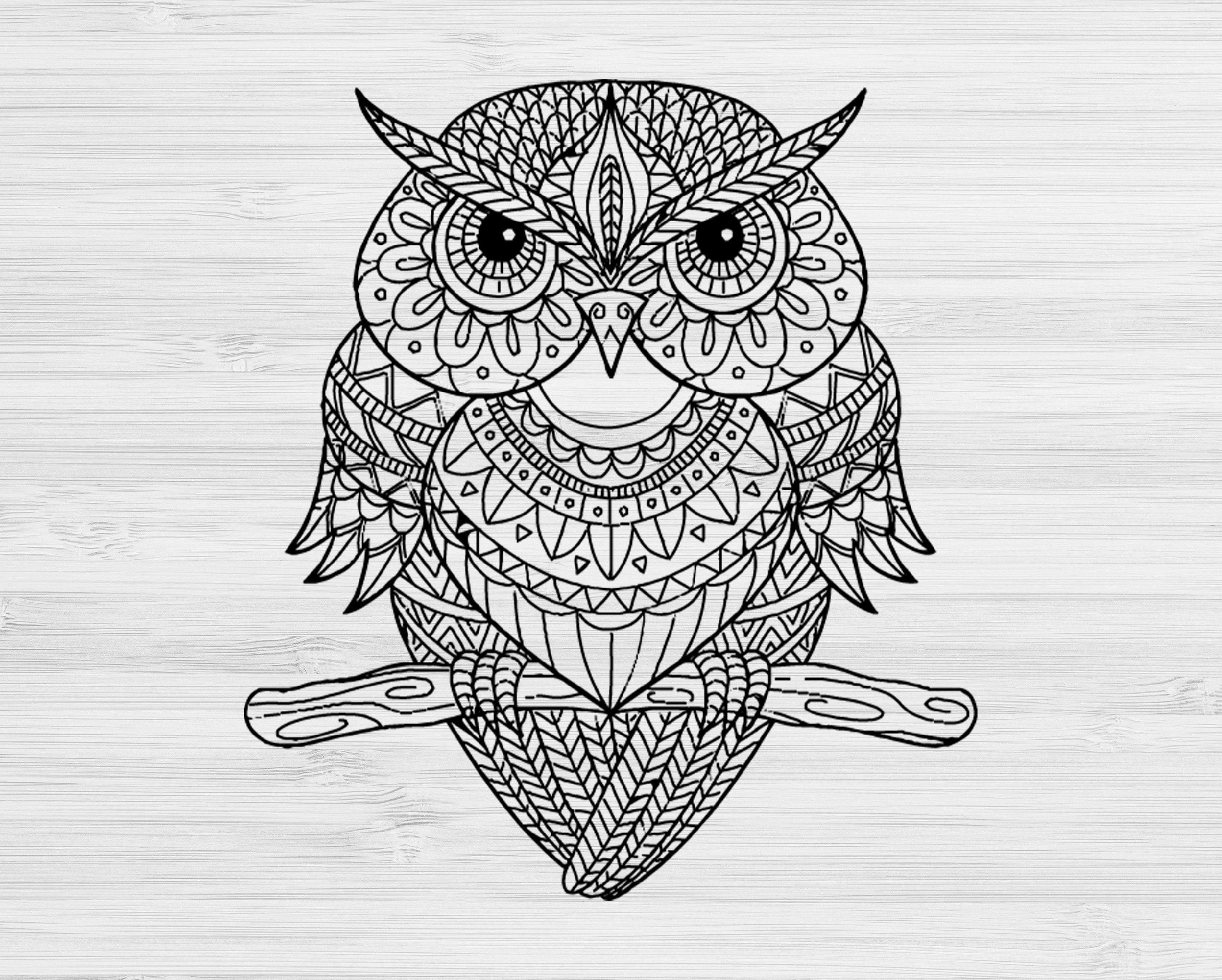 Eule-Tier-Mandala-Farbgebung Eule Mandala SVG Eule SVG | Etsy