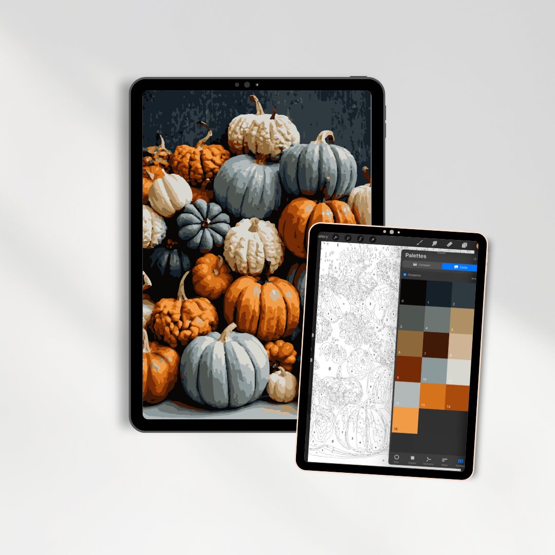 Digital Paint by Number Procreate Paint by Number Pumpkin Paint by