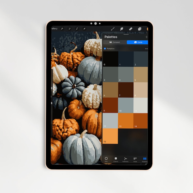 Digital Paint by Number Procreate Paint by Number Pumpkin Paint by