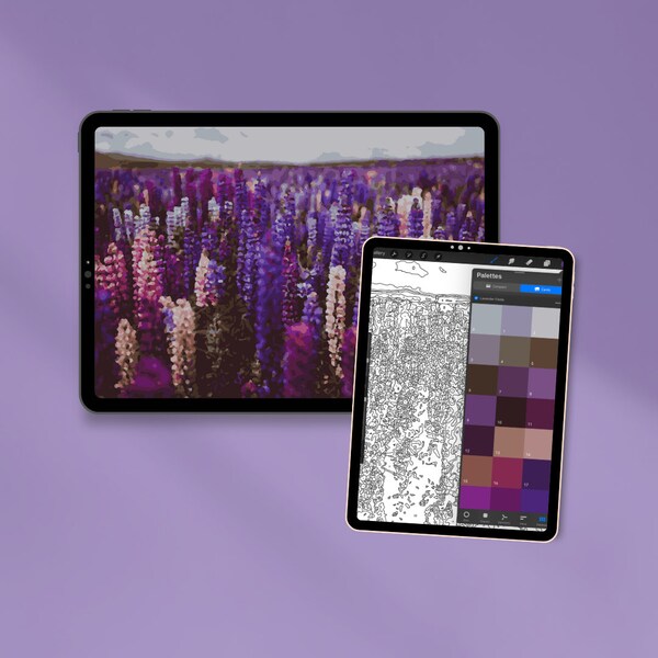 Digital Paint by Number | Procreate Paint by Number | Flower Paint by Number | Floral Paint by Number | Instant Download | Lavender Fields