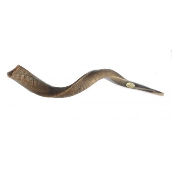 Jewish Shofar Trumpet Natural African Kudu Horn, 100% Kosher rabbinate  Certification Authentic From Israel. Judaica Wedding Gift - Etsy