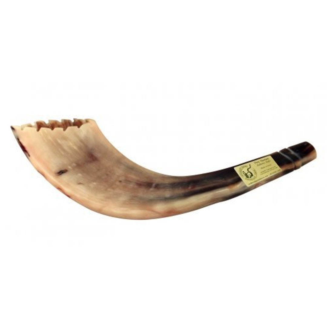 Jewish Ram's Horn Shofar Handmade Moroccan Style With Etsy