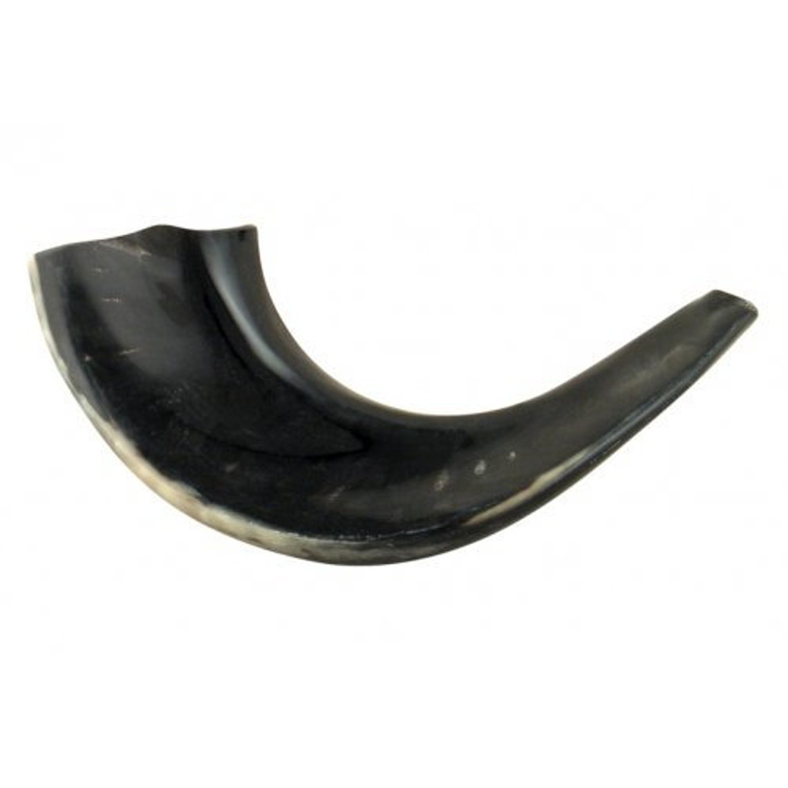 Jewish Shofar Trumpet 912 Polished Black Rams Etsy