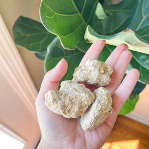 Uncut Geodes, Break Your Own Geodes, Quartz Geodes, Crystals for kids, crystal healing, Crystal Gift, Kid activity, crystal geodes, kid gift