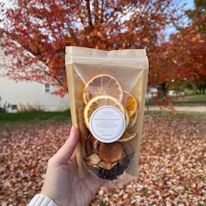 May include: A clear, resealable bag filled with dried orange slices, cinnamon sticks, and other spices. The bag has a circular label that reads "Dragonfly Autumn Brew" and is held in front of a blurred autumn background.