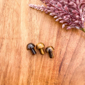 Tiger’s eye mini mushroom, mushroom crystal, Tiger&#39;s eye crystal, crystal healing, carved mushroom, mini mushroom, mini crystal mushroom