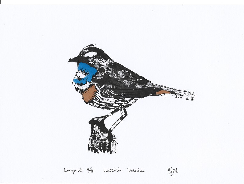 Bluethroat, Luscinia svecica, bird, Handprinted Linoprint image 4