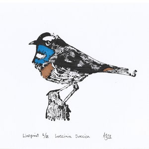 Bluethroat, Luscinia svecica, bird, Handprinted Linoprint image 6