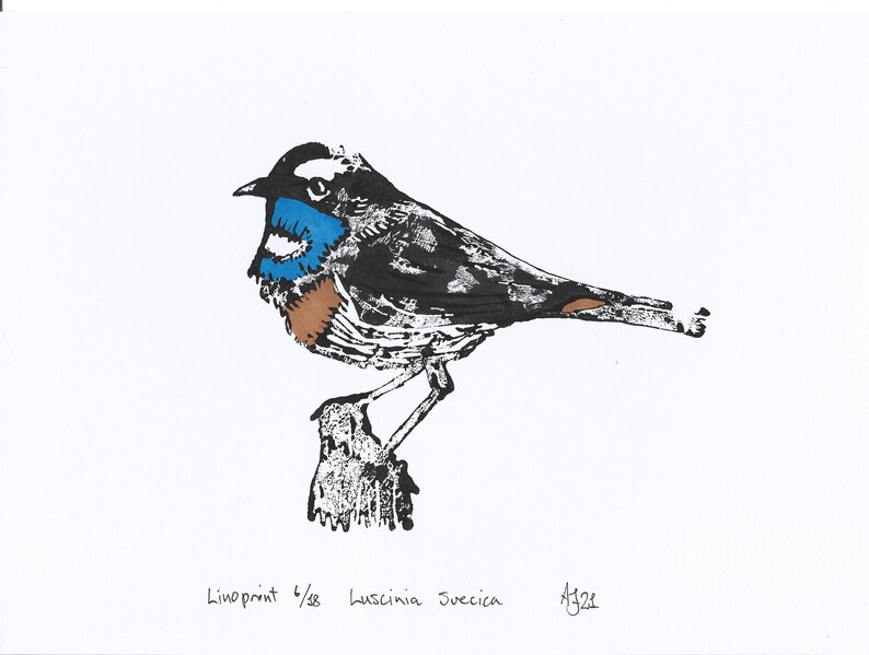 Bluethroat, Luscinia svecica, bird, Handprinted Linoprint image 6