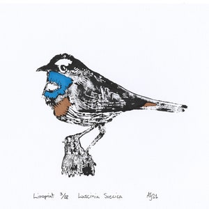 Bluethroat, Luscinia svecica, bird, Handprinted Linoprint image 3