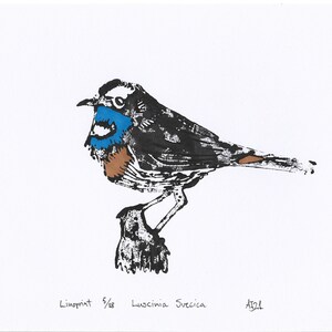 Bluethroat, Luscinia svecica, bird, Handprinted Linoprint image 5