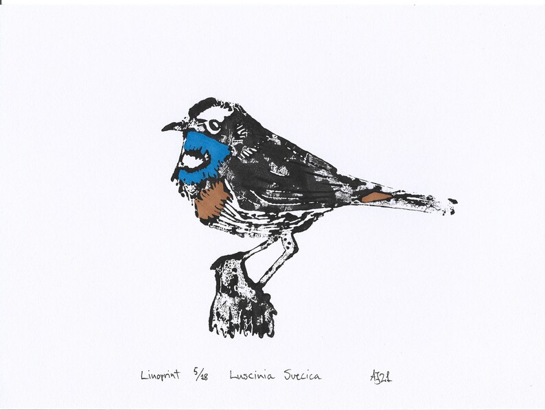 Bluethroat, Luscinia svecica, bird, Handprinted Linoprint image 5