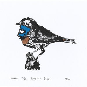 Bluethroat, Luscinia svecica, bird, Handprinted Linoprint image 9