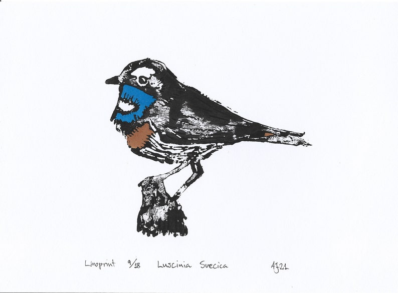 Bluethroat, Luscinia svecica, bird, Handprinted Linoprint image 9