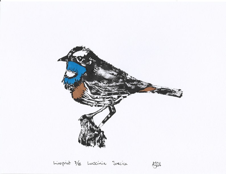 Bluethroat, Luscinia svecica, bird, Handprinted Linoprint image 7