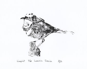 Linoprint, Luscinia svecica, Bluethroat, Bird