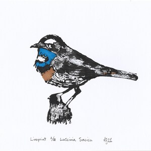 Bluethroat, Luscinia svecica, bird, Handprinted Linoprint image 2