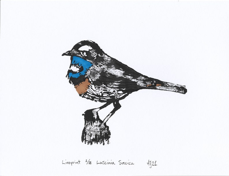 Bluethroat, Luscinia svecica, bird, Handprinted Linoprint image 2