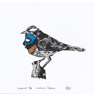 Bluethroat, Luscinia svecica, bird, Handprinted Linoprint image 1