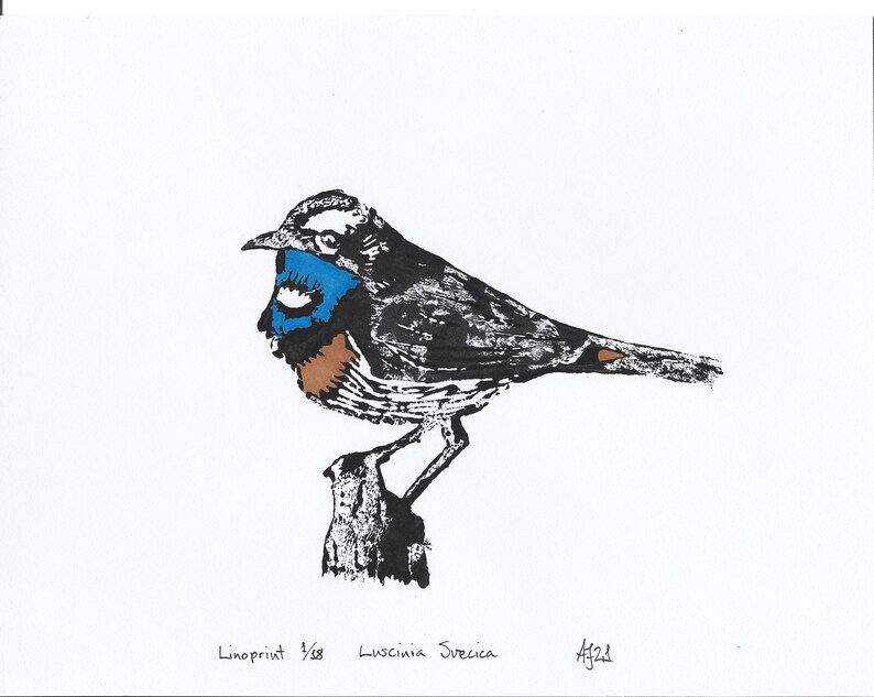 Bluethroat, Luscinia svecica, bird, Handprinted Linoprint image 1