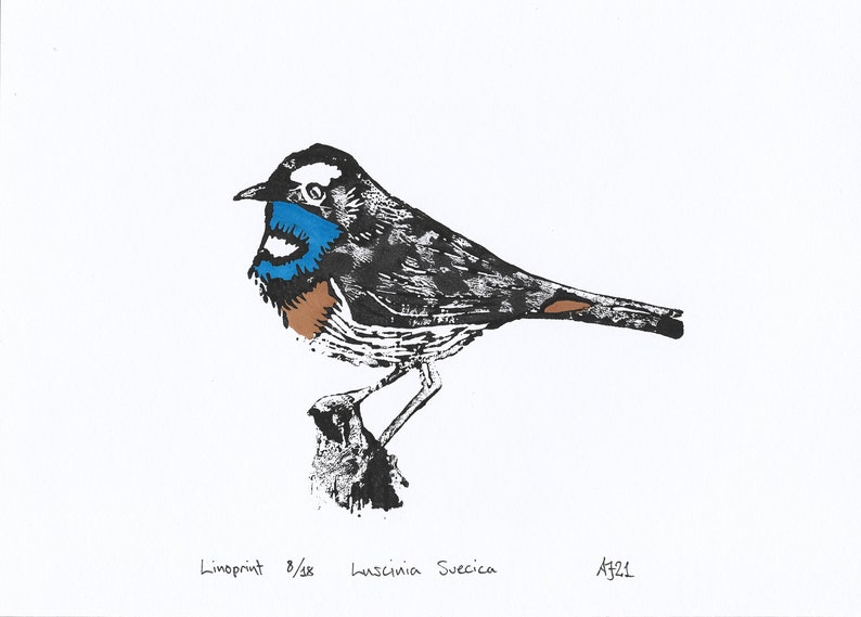 Bluethroat, Luscinia svecica, bird, Handprinted Linoprint image 8
