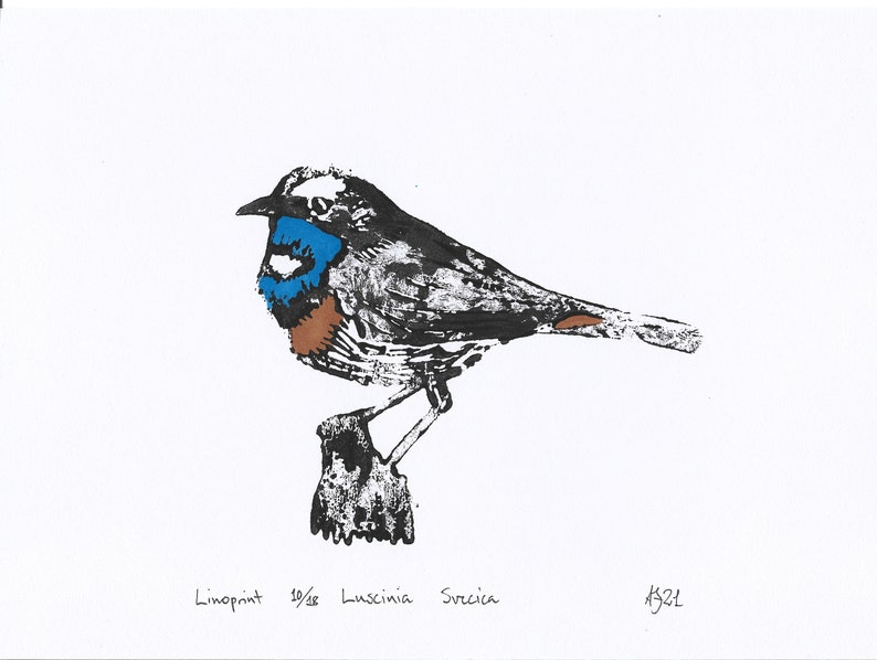 Bluethroat, Luscinia svecica, bird, Handprinted Linoprint image 10