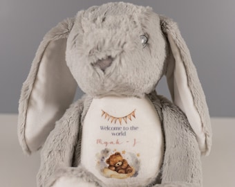Personalized Plush Rabbit Teddy – New Baby Keepsake Gift