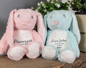 Personalized Bunny Plush Toy, Baby Gift