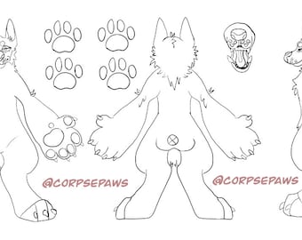 Canine Ref Sheet - 3 View