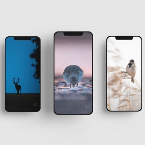 Wildlife Phone Wallpapers, 3 Digital Wallpapers, IPhone, Samsung, Android Backgrounds