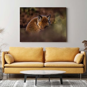 Sleepy fox cub Wall Art Print, Wildlife Photography