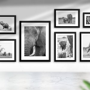 The Elephant Collection Wall Art Print, Wildlife Photography, Wall Décor