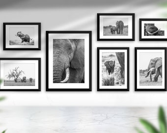 The Elephant Collection Wall Art Print, Wildlife Photography, Wall Décor