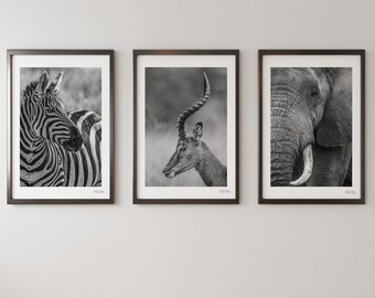 African Portraits Collection, Limited edition Wall Art Prints, Wildlife Photography, Wall Décor