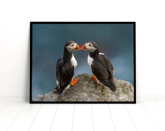 Puffin in Love Limited Edition Photo – Wildlife Art Print, Romantic Animal Couple Wall Decor, Bird Photography Gift for Nature Lovers