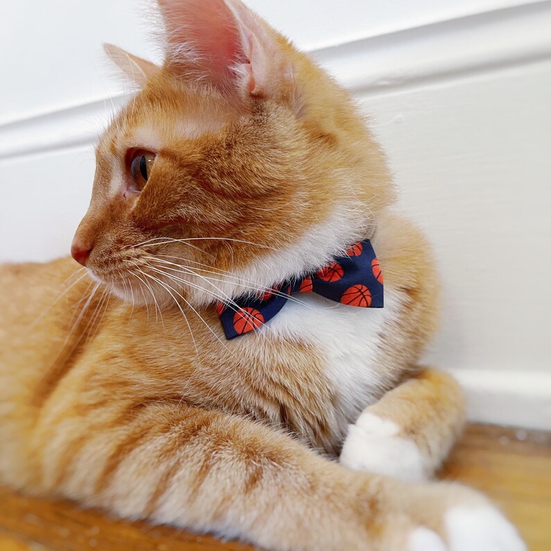 Basketball Dog or Cat Pet Bow Collar Bow Basketball Bowtie Etsy