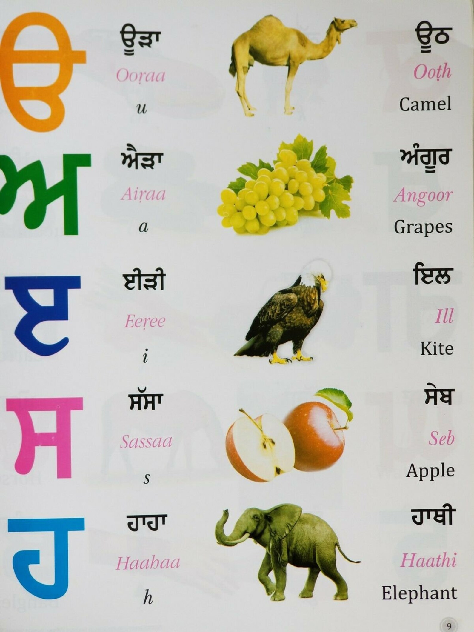 Aprende Punjabi en Easy Roman English Gurmukhi Alphabet Primer Etsy