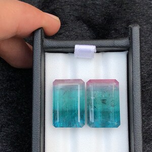 Tricolour Tourmaline Pair image 6