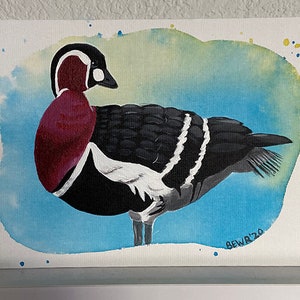 Red-breasted Goose Original Painting Bird Home Decor 9x12, Siberian Nature Watercolor Birds Animal Wall Art, Waterfowl Lover Gift Artwork