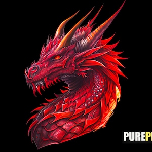 May include: A red dragon head with a fierce expression, detailed with scales and a long, pointed horn. The dragon's head is set against a black background.