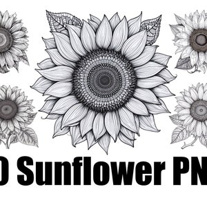 Line Art PNG Bundle: 10 florale Clipart Designs (kommerzielle Nutzung)