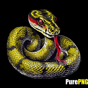 Snake PNG snake clipart png file transparent background snake Clipart design for snake lovers snake art png for commercial use
