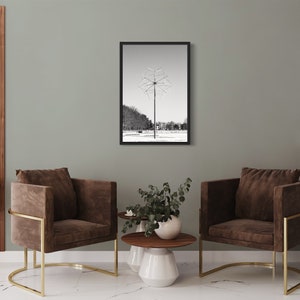 Dente di leone gigante, Monaco di Baviera - Stampa Giclée su carta Hahnemühle Photo Rag