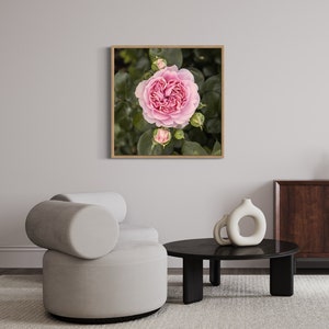 Pink Rose Giclée print on Hahnemühle German Etching paper