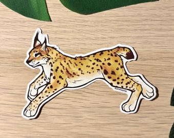 Lynx Sticker for Laptop, Nature Gift for Wildlife Lovers, Furry Accessories