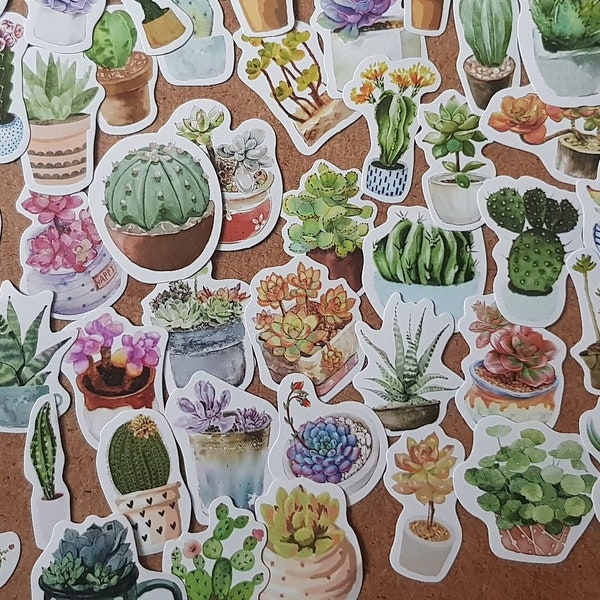 Stickerset | 50 Sticker Sukkulenten, Kaktus, Topfpflanze