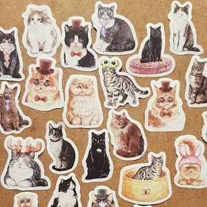 Stickerset | Verrückte Katzen | 23 Sticker