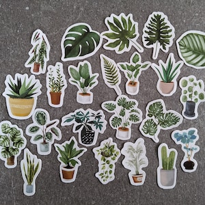 Stickerset | Sticker | Zimmerpflanzen, Topfpflanze, Monstera, Kaktus, Grüner Daumen